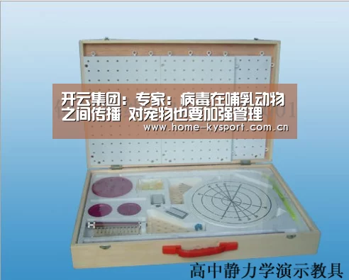 开云体育