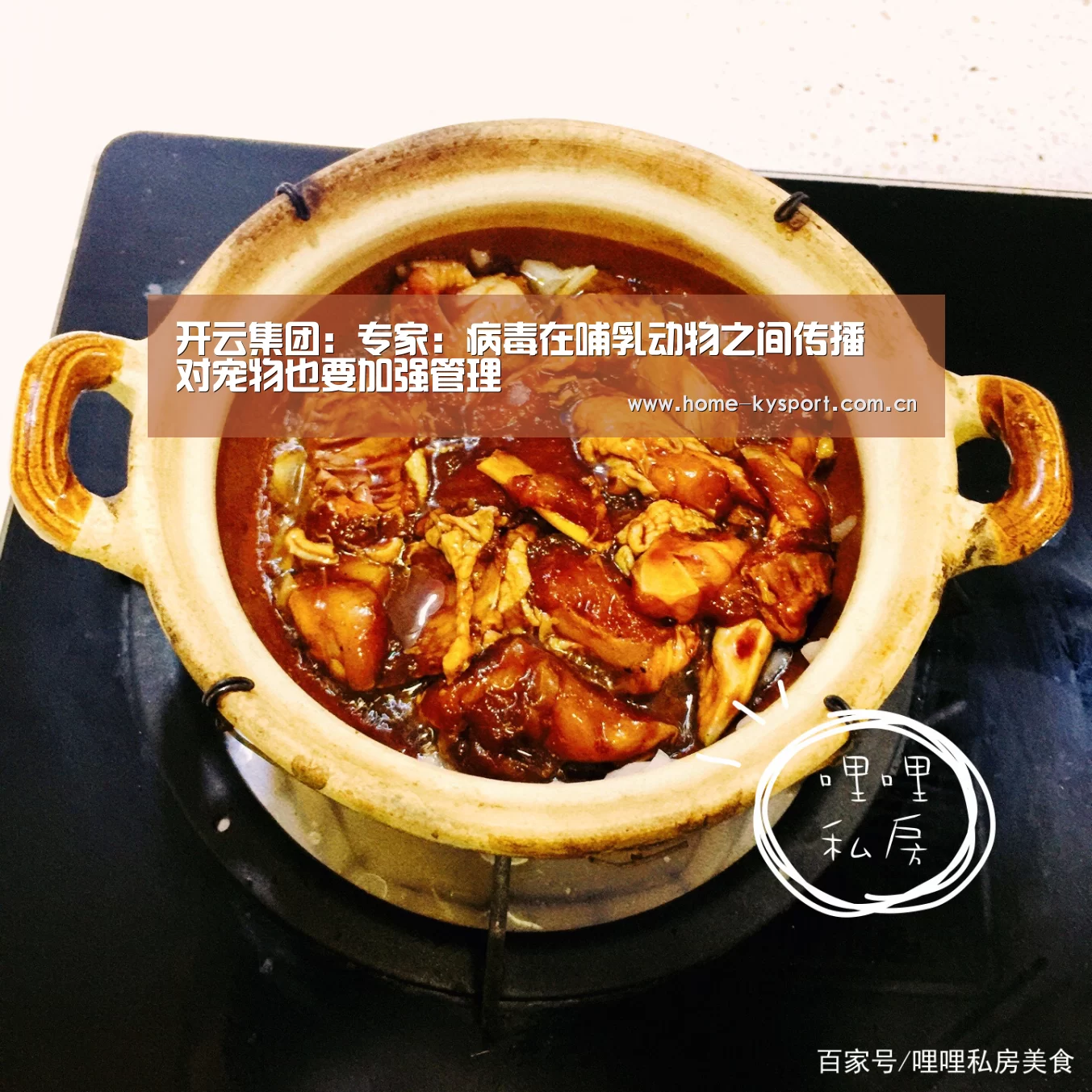 开云体育