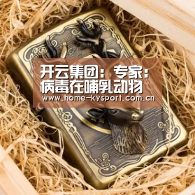 开云体育官网
