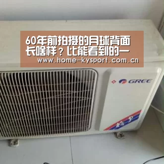 开云体育官网