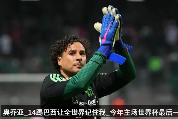 奥乔亚_14踢巴西让全世界记住我_今年主场世界杯最后一舞（KAIYUN）